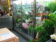 「心斎橋オザキ花園」　（大阪府大阪市中央区）の花屋店舗写真3